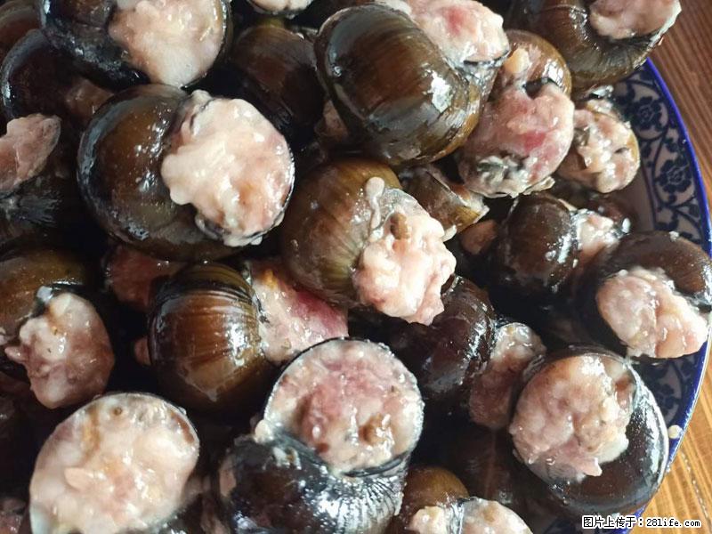 （舌尖上的乡村）灌阳：让人口齿留香的田螺酿 - 2023年07月31日 桂林日报第6版刊发 - 美食天地 - 定西生活社区 - 定西28生活网 dx.28life.com