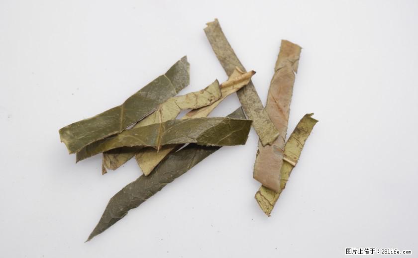 苦丁茶有哪些功效和作用 - 生活百科 - 定西生活社区 - 定西28生活网 dx.28life.com