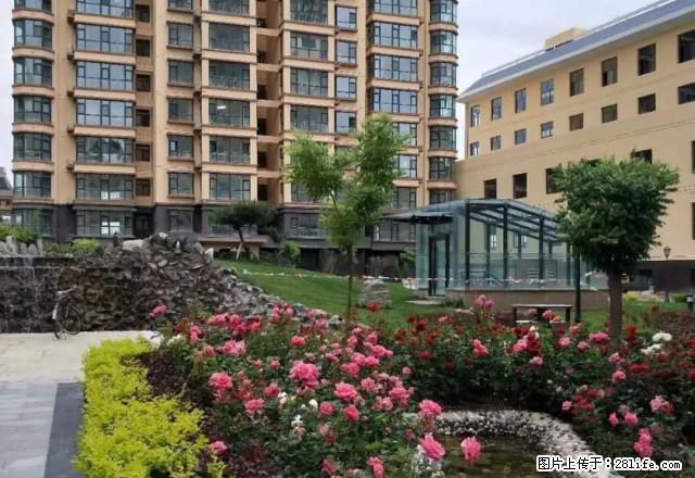 博源帝景可办公住家2室2厅1卫 - 房屋出租 - 房屋租售 - 定西分类信息 - 定西28生活网 dx.28life.com