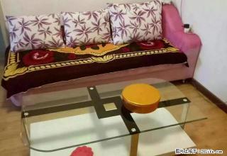 南山下林业局家属院精装带家具家电2室1厅1卫 - 定西28生活网 dx.28life.com