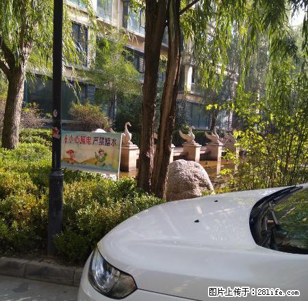 地段繁华，交通便利，中等装修，南北通透，采光 ，业主诚信交易 - 房屋出租 - 房屋租售 - 定西分类信息 - 定西28生活网 dx.28life.com