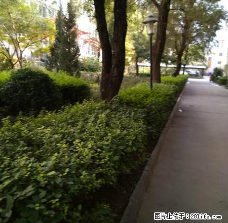 地段繁华，交通便利，中等装修，南北通透，采光 ，业主诚信交易 - 房屋出租 - 房屋租售 - 定西分类信息 - 定西28生活网 dx.28life.com