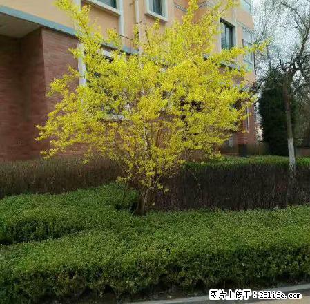 地段繁华，交通便利，中等装修，南北通透，采光 ，业主诚信交易 - 房屋出租 - 房屋租售 - 定西分类信息 - 定西28生活网 dx.28life.com