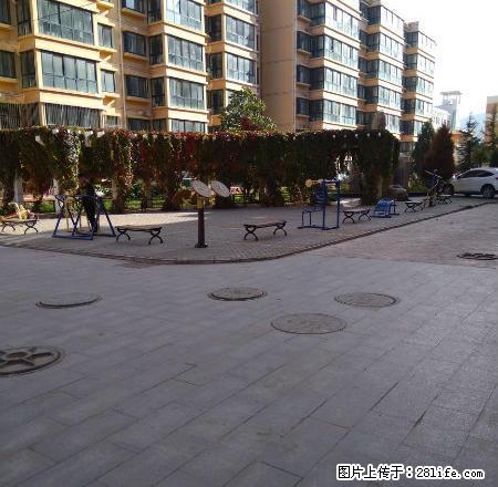 地段繁华，交通便利，中等装修，南北通透，采光 ，业主诚信交易 - 房屋出租 - 房屋租售 - 定西分类信息 - 定西28生活网 dx.28life.com