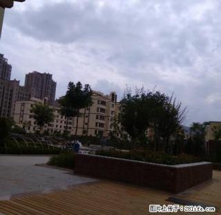 地段繁华，交通便利，家具家电齐全，离南校.实验二小，一中近。 - 定西28生活网 dx.28life.com