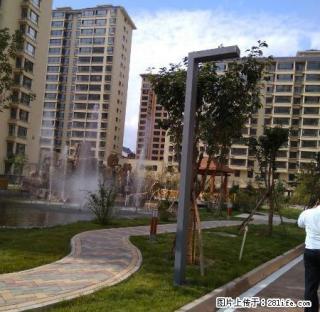 地段繁华，交通便利，中等装修，南北通透，采光 ，业主诚信交易 - 定西28生活网 dx.28life.com