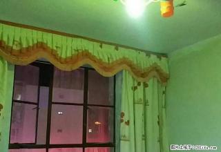 东中家属院位于东门口附近，位置优越，交通便利。 - 定西28生活网 dx.28life.com