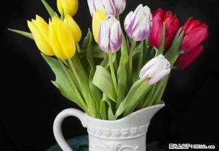 敬东厂家属院位于老城区繁华地段，位置优越，交通便利、 - 定西28生活网 dx.28life.com