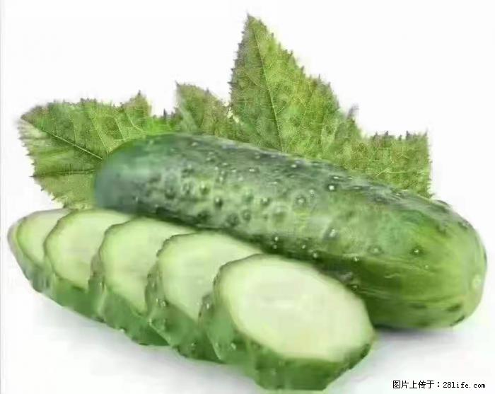 【生活小常识】吃黄瓜的好处 - 生活百科 - 定西生活社区 - 定西28生活网 dx.28life.com
