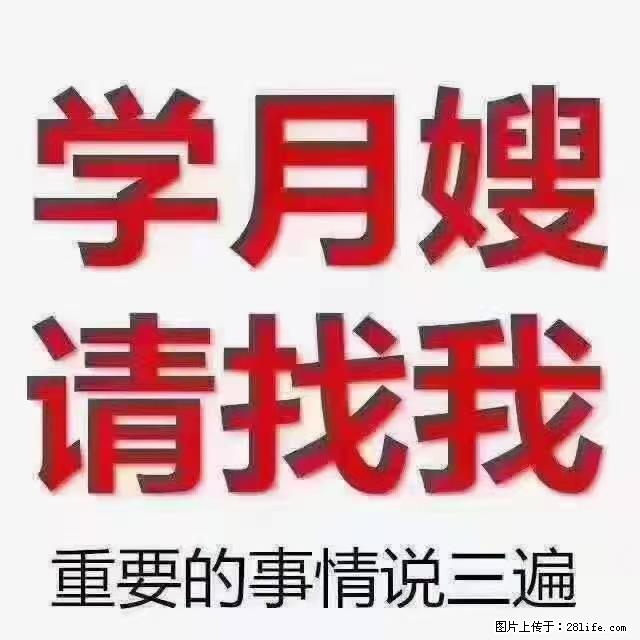 【招聘】月嫂，上海徐汇区 - 职场交流 - 定西生活社区 - 定西28生活网 dx.28life.com