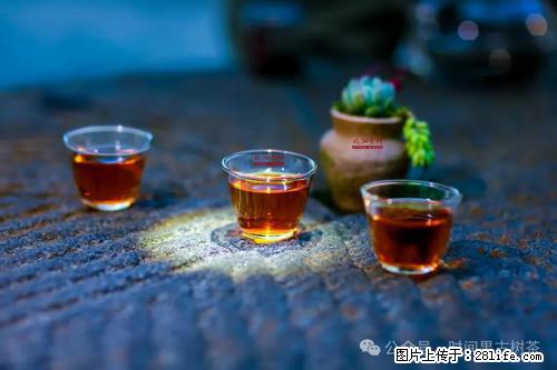 时间果百年古树2025年春红茶 - 购物交流 - 定西生活社区 - 定西28生活网 dx.28life.com