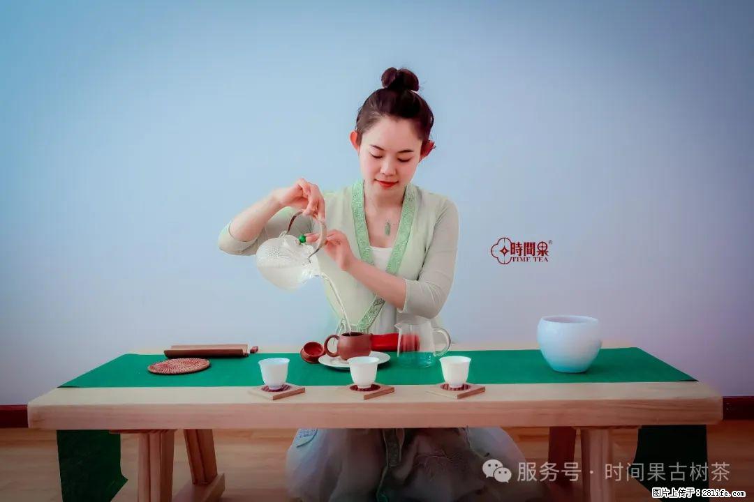 时间果百年古树龙珠普洱生茶 - 购物交流 - 定西生活社区 - 定西28生活网 dx.28life.com