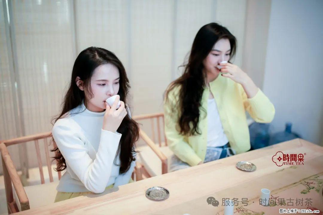 时间果百年古树龙珠普洱生茶 - 购物交流 - 定西生活社区 - 定西28生活网 dx.28life.com