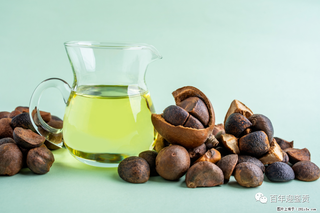 揭秘茶油的5大核心营养成分！被称为人体健康的“守护盾”！ - 定西生活资讯 - 定西28生活网 dx.28life.com
