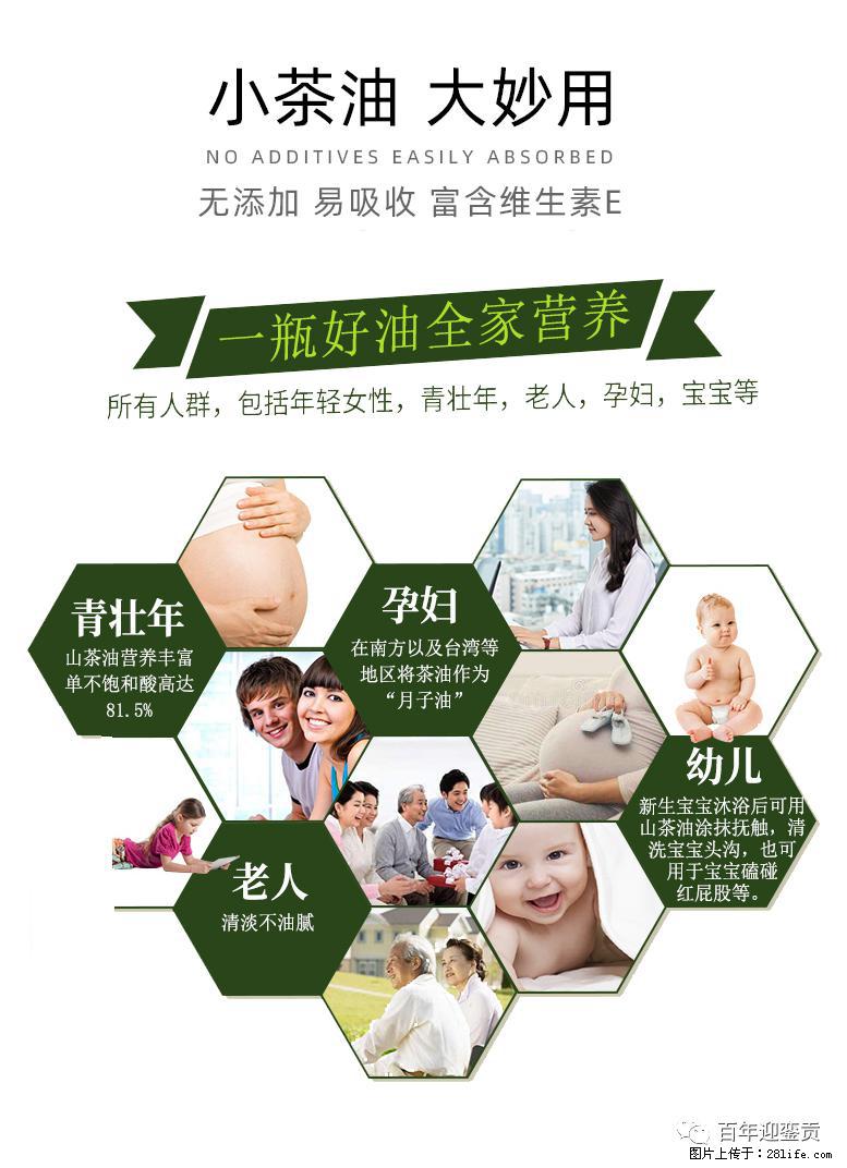 世界没有真相，只有认知，最好的食用油是中国的山茶油！ - 定西生活资讯 - 定西28生活网 dx.28life.com