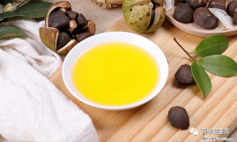 世界没有真相，只有认知，最好的食用油是中国的山茶油！ - 定西生活资讯 - 定西28生活网 dx.28life.com