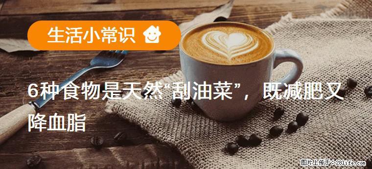 【生活小常识】6种食物是天然“刮油菜”，既减肥又降血脂 - 定西生活资讯 - 定西28生活网 dx.28life.com