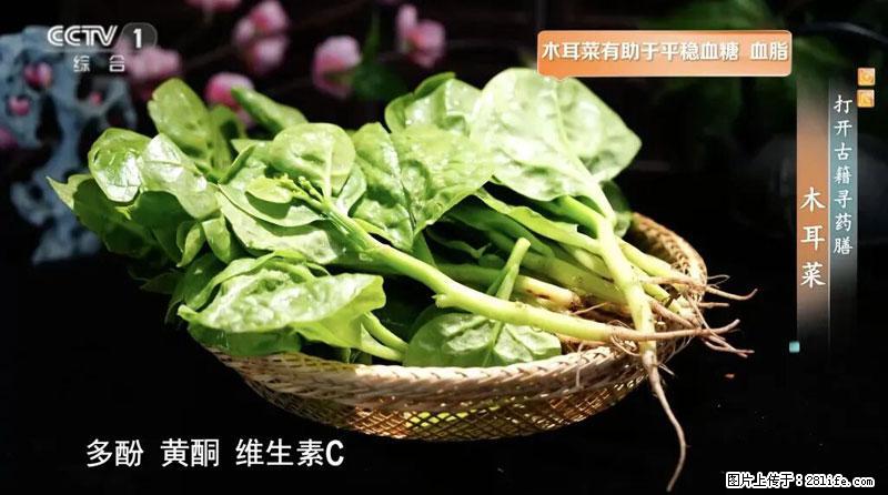 比牛奶补钙还厉害！凉血解毒、稳血糖...这菜冬天必吃，很多人却当草 - 定西生活资讯 - 定西28生活网 dx.28life.com