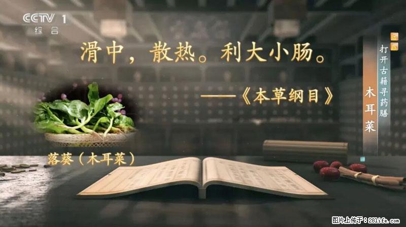 比牛奶补钙还厉害！凉血解毒、稳血糖...这菜冬天必吃，很多人却当草 - 定西生活资讯 - 定西28生活网 dx.28life.com