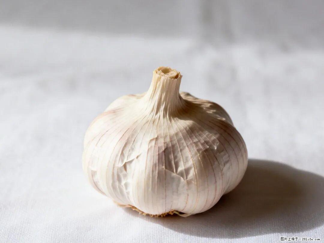 关于大蒜，除了“天然抗生素”，这4个谣言更该警惕! - 定西生活资讯 - 定西28生活网 dx.28life.com