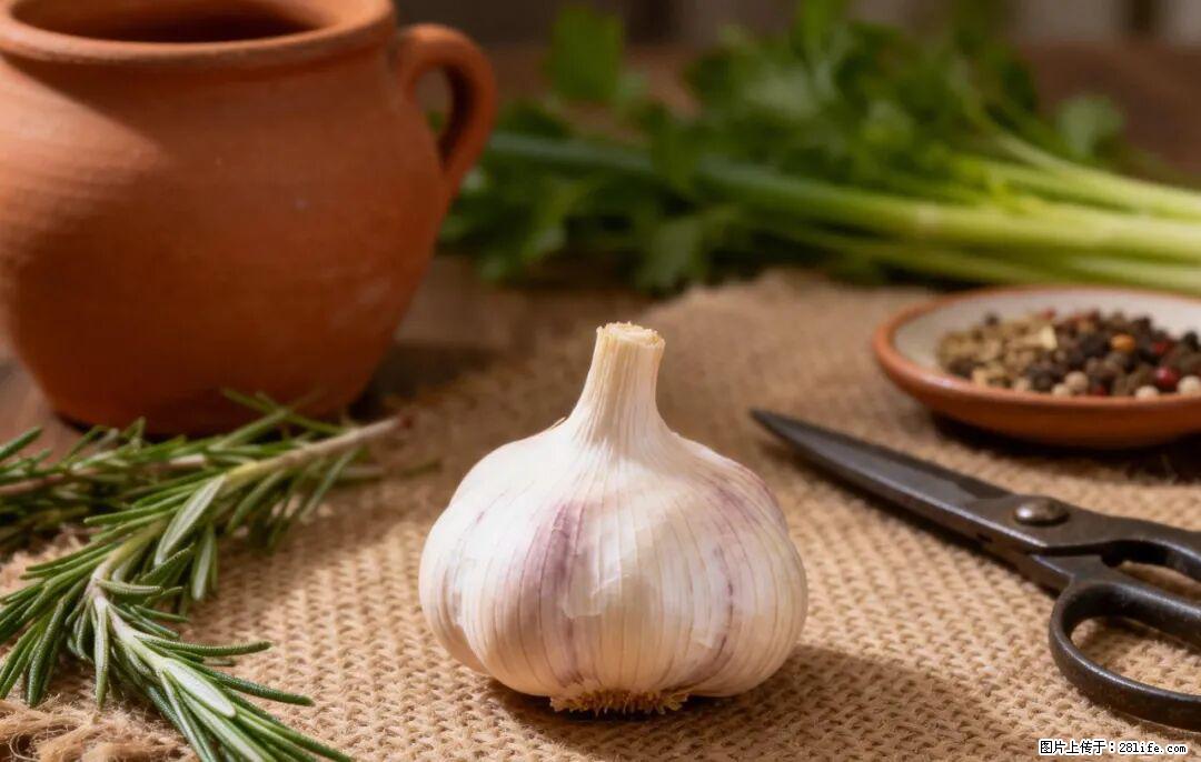 关于大蒜，除了“天然抗生素”，这4个谣言更该警惕! - 定西生活资讯 - 定西28生活网 dx.28life.com