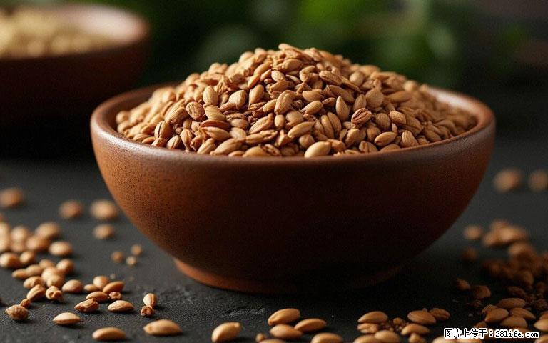 这三苦是三高“克星”,心血管干净不易堵!每天吃一点,指标慢慢降下来~ - 定西生活资讯 - 定西28生活网 dx.28life.com