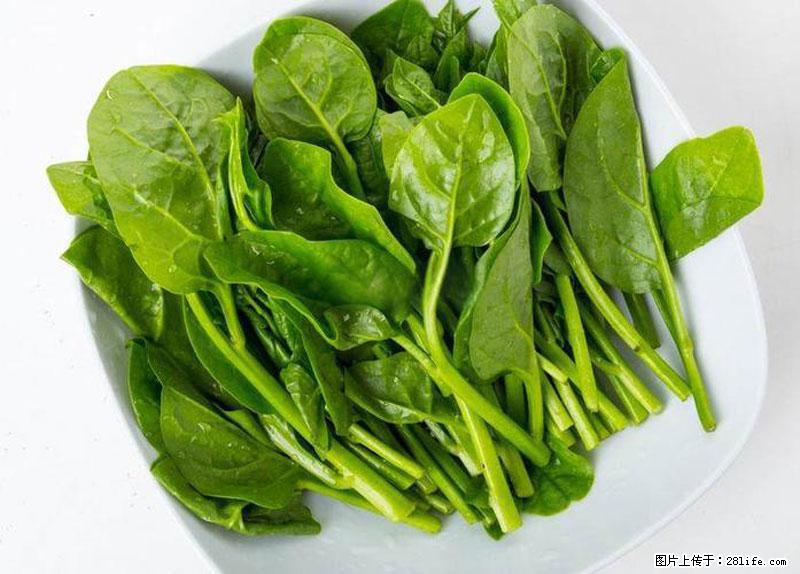 这些蔬菜是“天然钙片”，这6种被医生重点推荐 - 定西生活资讯 - 定西28生活网 dx.28life.com