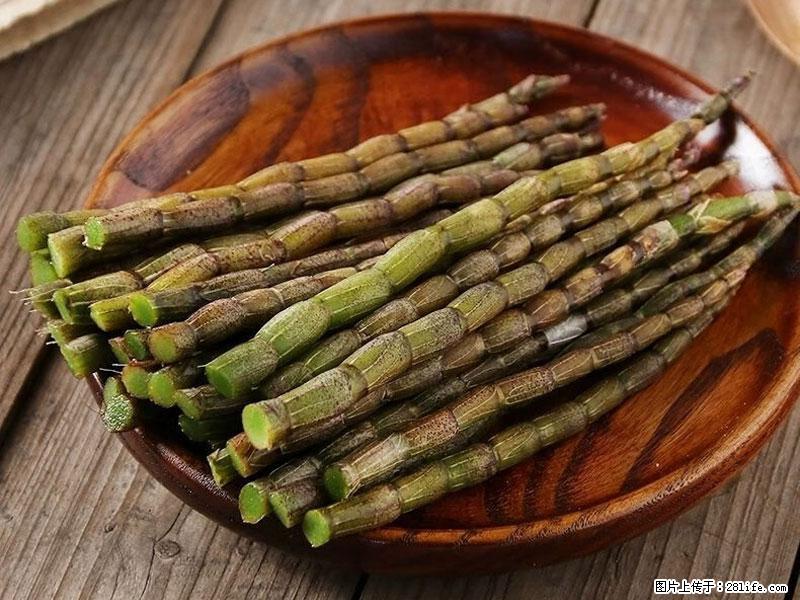 铁皮石斛的作用与功能主治 - 定西生活资讯 - 定西28生活网 dx.28life.com