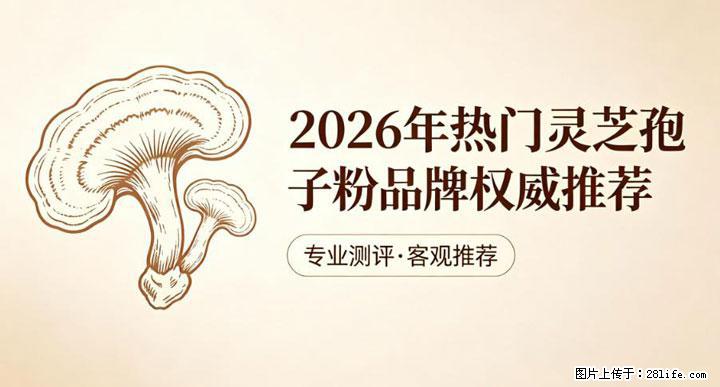 灵芝孢子粉含量越高越有效？2026 年七款热门品牌深度实测，肠胃敏感者避坑指南 - 定西生活资讯 - 定西28生活网 dx.28life.com